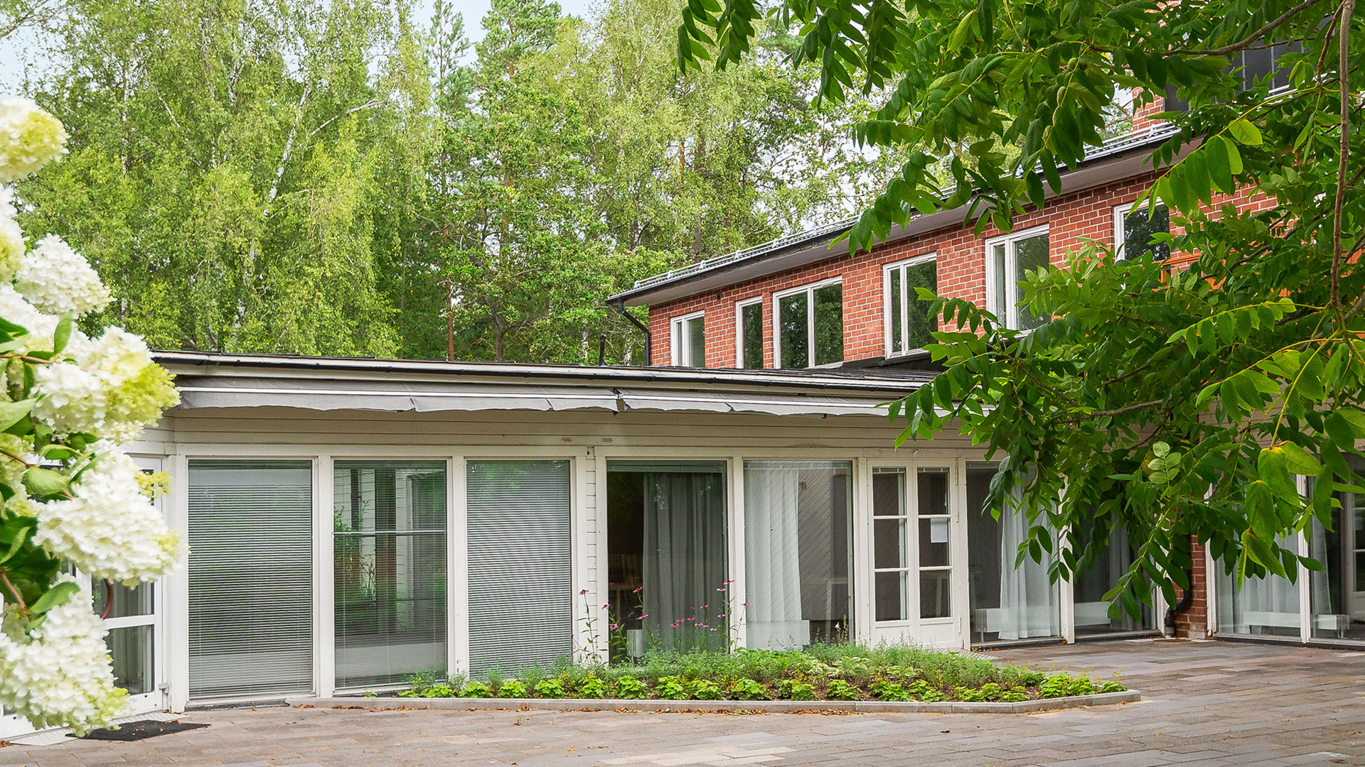 Grönskande innergård